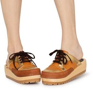 Swedish Hasbeens Clog.